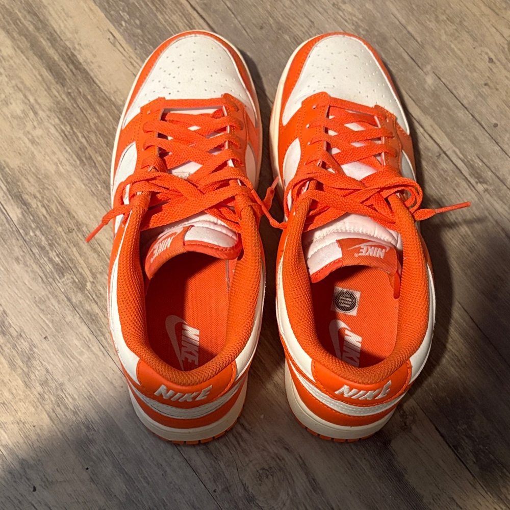 Nike dunks size 9